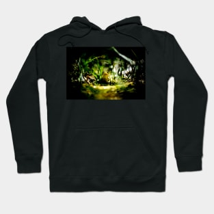 Frogger - High Contrast Hoodie